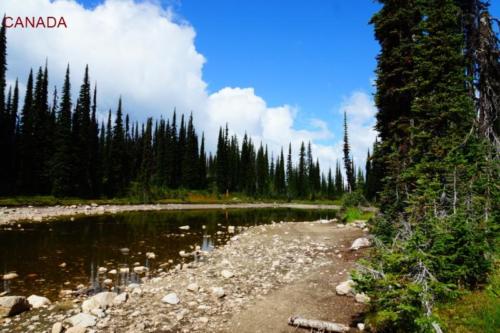 ca- Parco Nazionale di Mount Revelstoke (British Columbia)