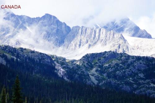 cc- Parco Nazionale di Mount Revelstoke (British Columbia) 