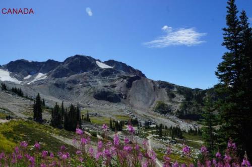 gf- Montagne- Garibaldi Provincial Park- Whistler (British Columbia) 