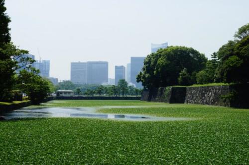 ag- Mura, Palazzo reale di Tokyo 