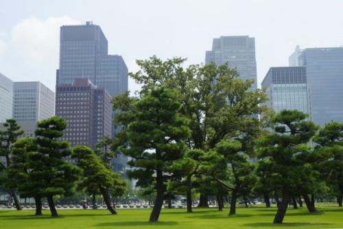 al- Vista città di Tokyo 
