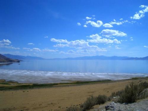bf- Grande Lago Salato, Salt Lake City (Utah) 