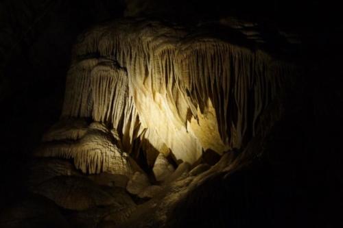 ev- Carlsbad Caverns (New Mexico)  