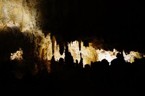 ey- Carlsbad Caverns (New Mexico)  