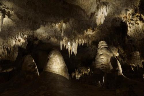 fb- Carlsbad Caverns (New Mexico)  