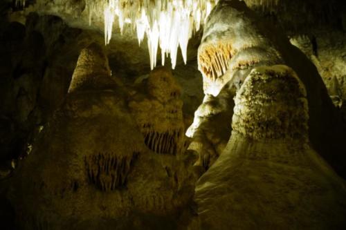 fc- Carlsbad Caverns (New Mexico)  